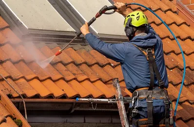 Démoussage et hydrofuge de toiture à Darbonnay